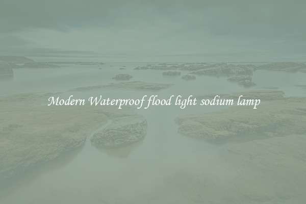 Modern Waterproof flood light sodium lamp