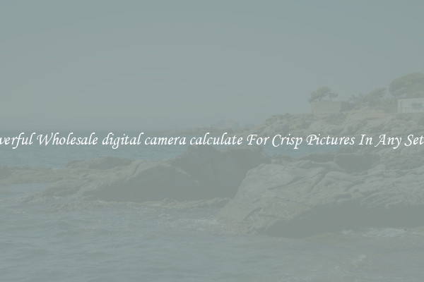 Powerful Wholesale digital camera calculate For Crisp Pictures In Any Setting