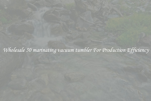 Wholesale 50 marinating vacuum tumbler For Production Efficiency