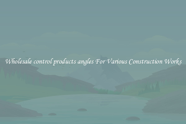 Wholesale control products angles For Various Construction Works