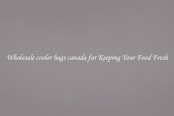 Wholesale cooler bags canada for Keeping Your Food Fresh