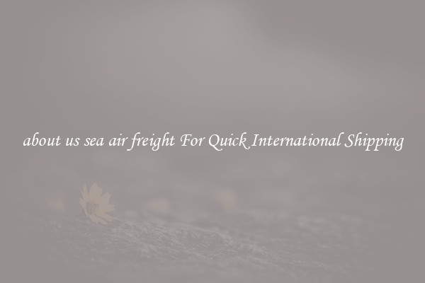 about us sea air freight For Quick International Shipping