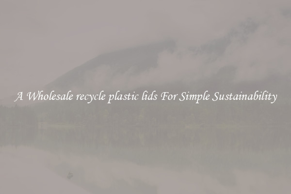  A Wholesale recycle plastic lids For Simple Sustainability 