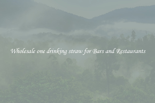 Wholesale one drinking straw for Bars and Restaurants