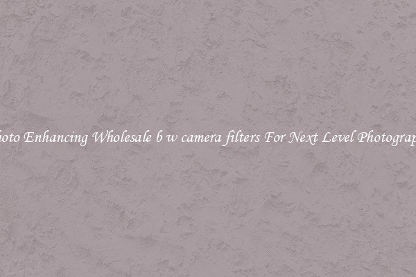 Photo Enhancing Wholesale b w camera filters For Next Level Photography