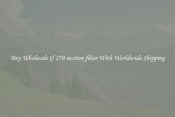  Buy Wholesale tf 250 suction filter With Worldwide Shipping 
