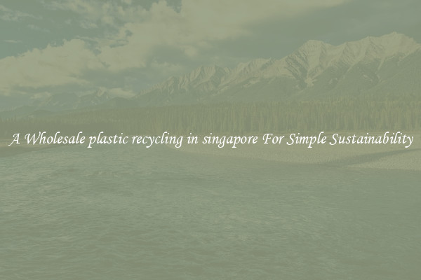  A Wholesale plastic recycling in singapore For Simple Sustainability 