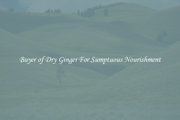 Buyer of Dry Ginger For Sumptuous Nourishment