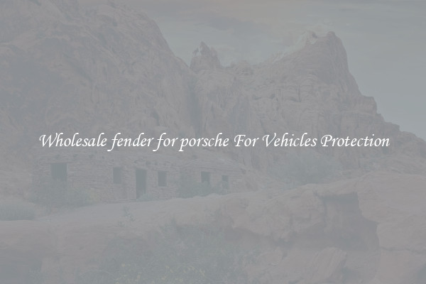 Wholesale fender for porsche For Vehicles Protection