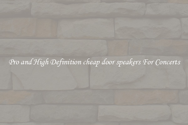 Pro and High Definition cheap door speakers For Concerts