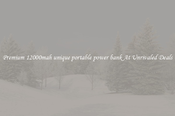 Premium 12000mah unique portable power bank At Unrivaled Deals