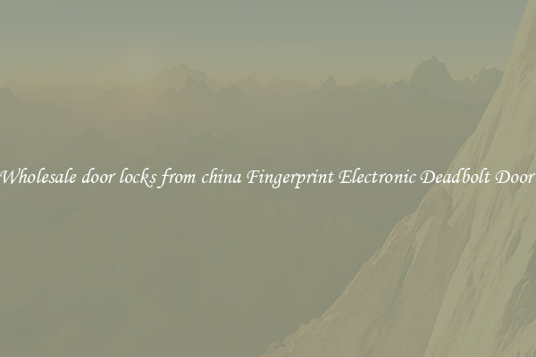 Wholesale door locks from china Fingerprint Electronic Deadbolt Door 