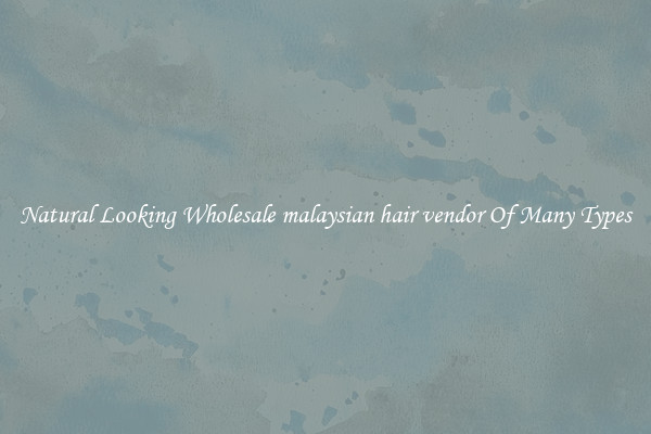 Natural Looking Wholesale malaysian hair vendor Of Many Types