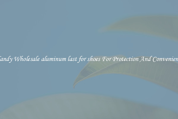 Handy Wholesale aluminum last for shoes For Protection And Convenience
