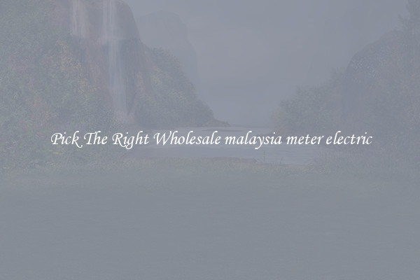 Pick The Right Wholesale malaysia meter electric