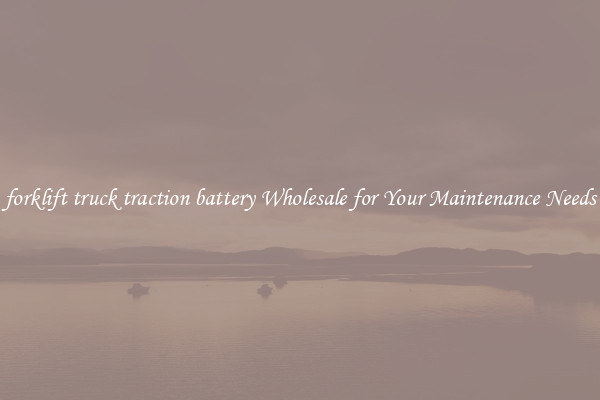 forklift truck traction battery Wholesale for Your Maintenance Needs