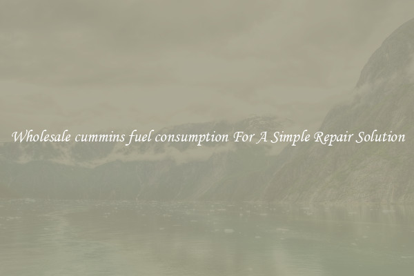 Wholesale cummins fuel consumption For A Simple Repair Solution