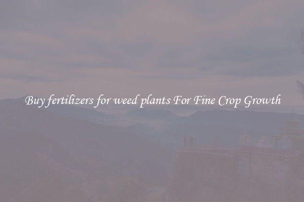 Buy fertilizers for weed plants For Fine Crop Growth