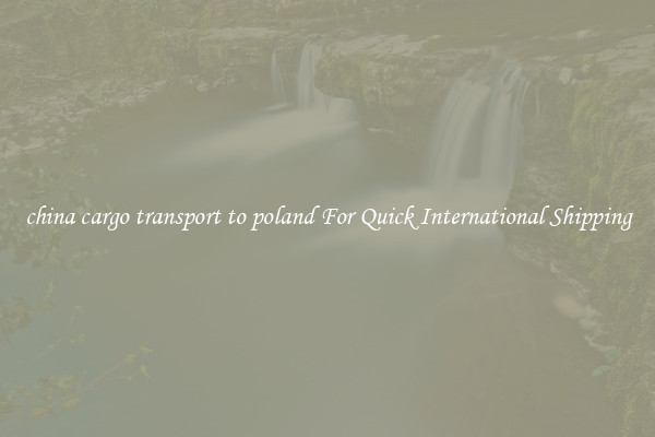 china cargo transport to poland For Quick International Shipping